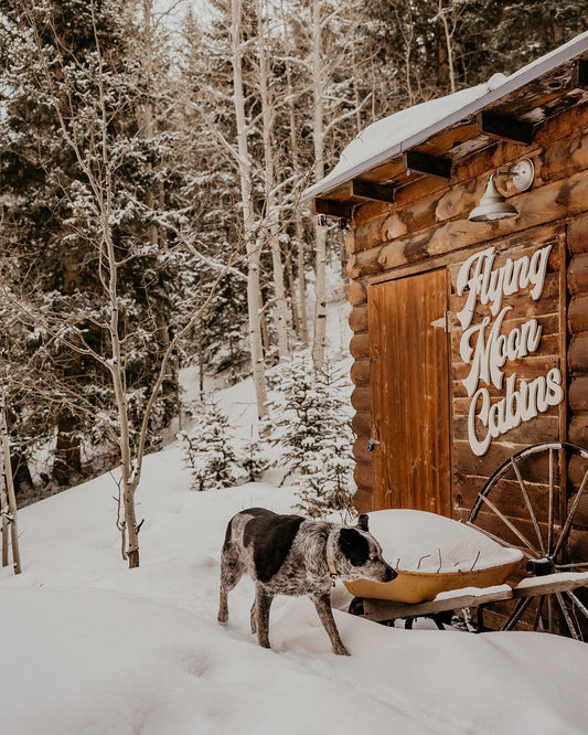 A Cozy Winter Escape at Flying Moon Cabins